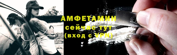 PSILOCYBIN Бородино