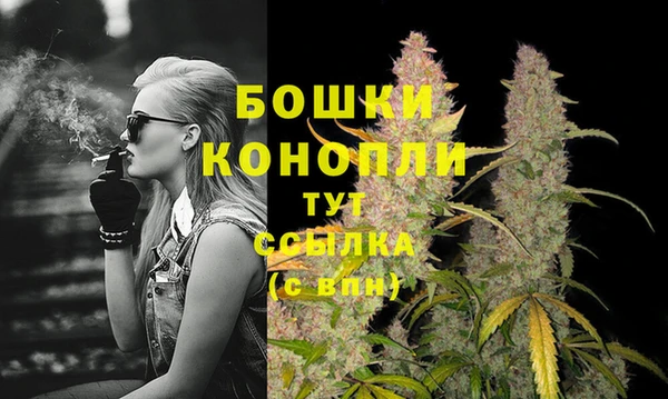PSILOCYBIN Бородино