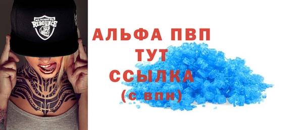 PSILOCYBIN Бородино
