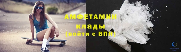 PSILOCYBIN Бородино