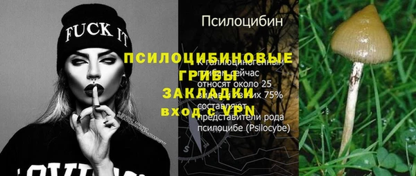PSILOCYBIN Бородино