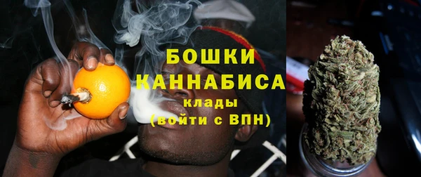 PSILOCYBIN Бородино