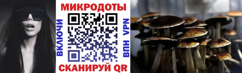 Псилоцибиновые грибы мухоморы Пыть-Ях